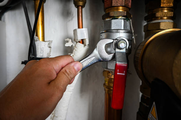 Best Local Plumber Services  in Duncannon, PA